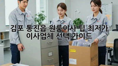 김포 통진읍 원룸이사 팁: 최저가 이사업체 선택 가이드! ✨
