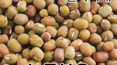 쌀아지매 볶음율무 후기: 솔직한 구매 팁과 할인 정보까지!